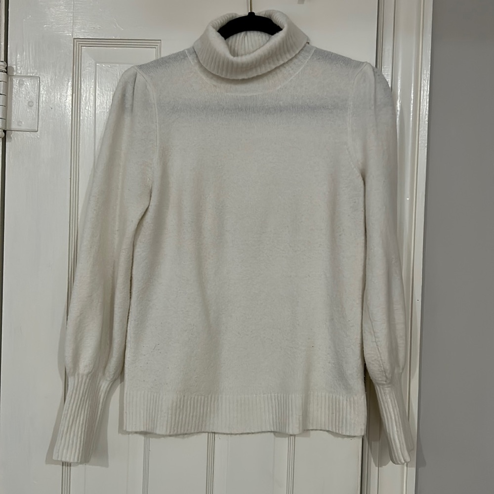 JCrew Turtleneck Sweater